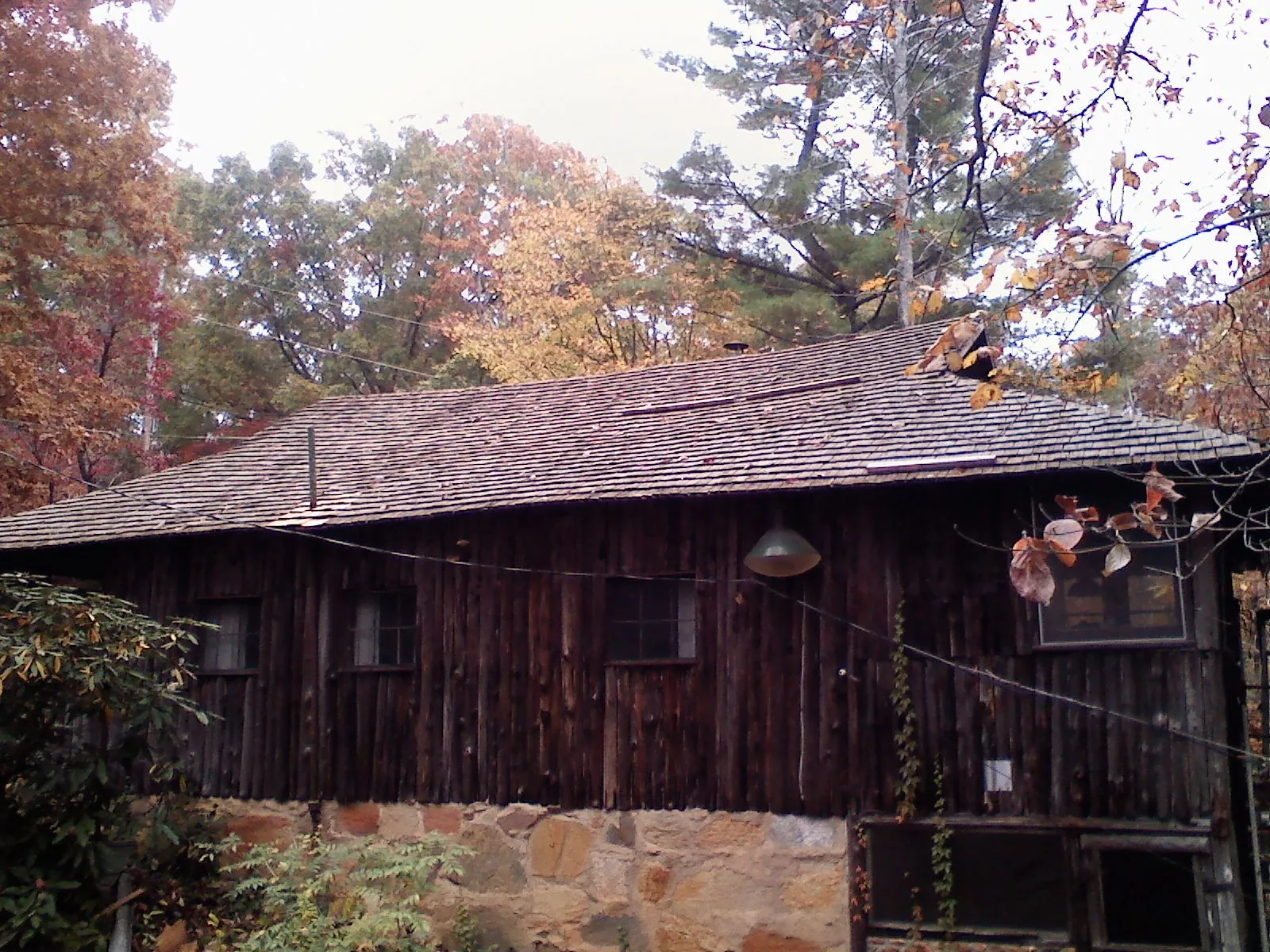 Weathered wood shake roof on a rustic board sided cabin in Sanders